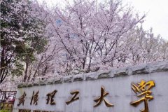 广州深圳东莞MBA报考：武汉理工大学