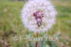 你不一定比孩子优秀，让他教你成长