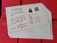 中式面点师职业技能等级证书报考条件